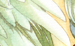 印刷如何選紙？印刷廠如何辨別印刷紙張好壞？